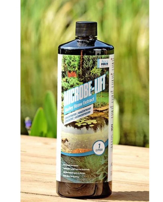 Barley Straw Concentrated Extract 946ml