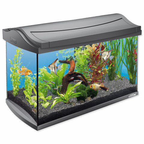 TETRA akvárium LED antracit 60L set - 57x35x30cm - Kliknutím na obrázok zatvorte -