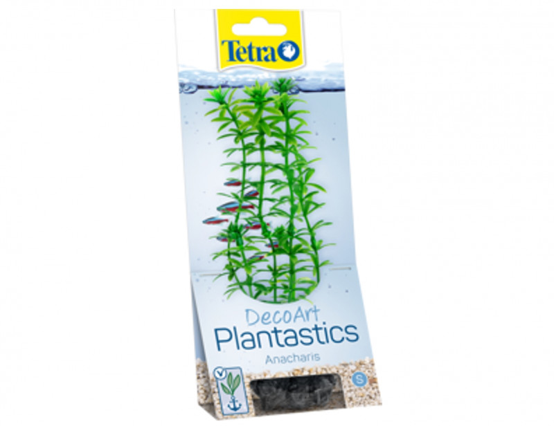 Tetra Anacharis 30cm rastlina plast. L