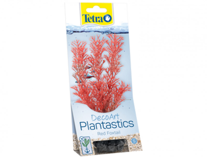 Tetra Red Foxtail 15cm rastlina plast. S