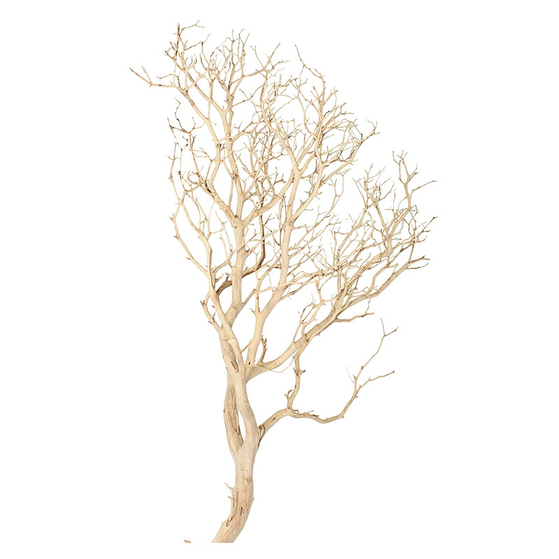 Dekoračný koreň BRANCH WOOD