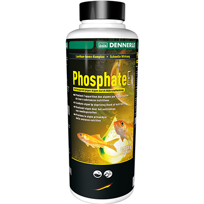Dennerle Anti-Algae Phosphate-Ex, 1000g