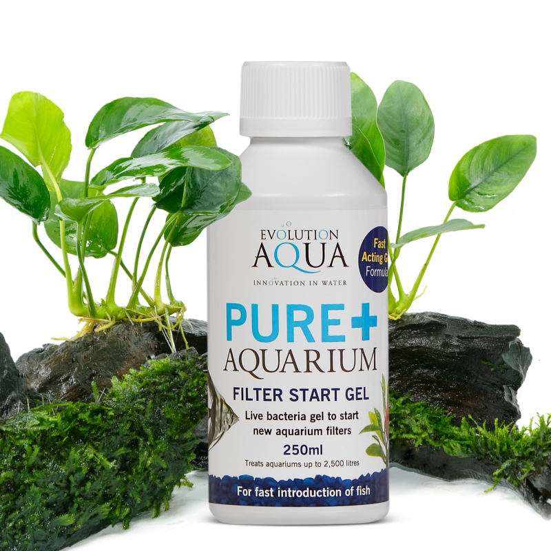 Evolution Aqua Pure + Aquarium Filter start gel 250ml