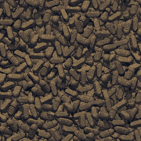 JBL ProPond Silkworms M 1kg-3L