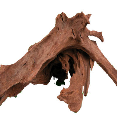 Koreň drift wood XL 55-100cm - Kliknutím na obrázok zatvorte -