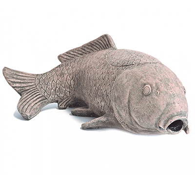 Carp filter