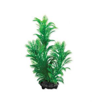 Tetra akvarijná rastlina - Green Cabomba S, 15cm