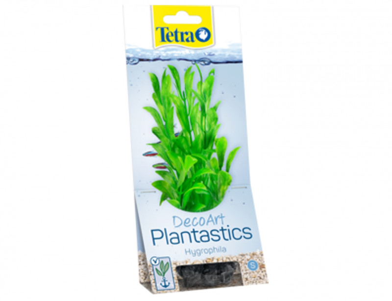 Tetra Hygrophila 30cm-rastlina plast.L