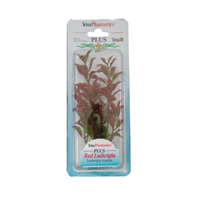 tetra Ludwigia repens ( Red Ludwigia) - rastlina Tetra 15 cm, S