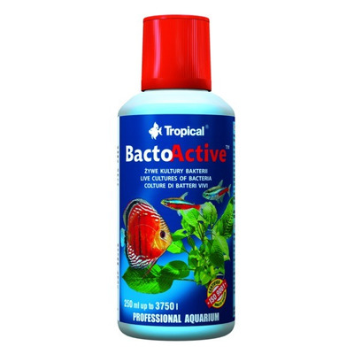 TROPICAL-Bacto-Active 250ml