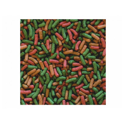 TROPICAL-Biorept 10kg chovateľské bal.