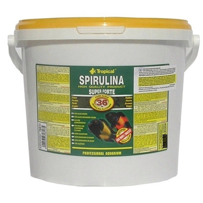 TROPICAL-Spirulina Forte 36% 21L/4kg - Kliknutím na obrázok zatvorte -