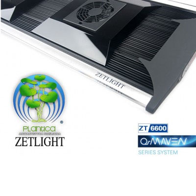 Zetlight QMAVEN 6400 - 160W